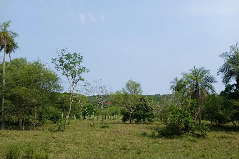 Terreno en Altos — Foto 1 de 6