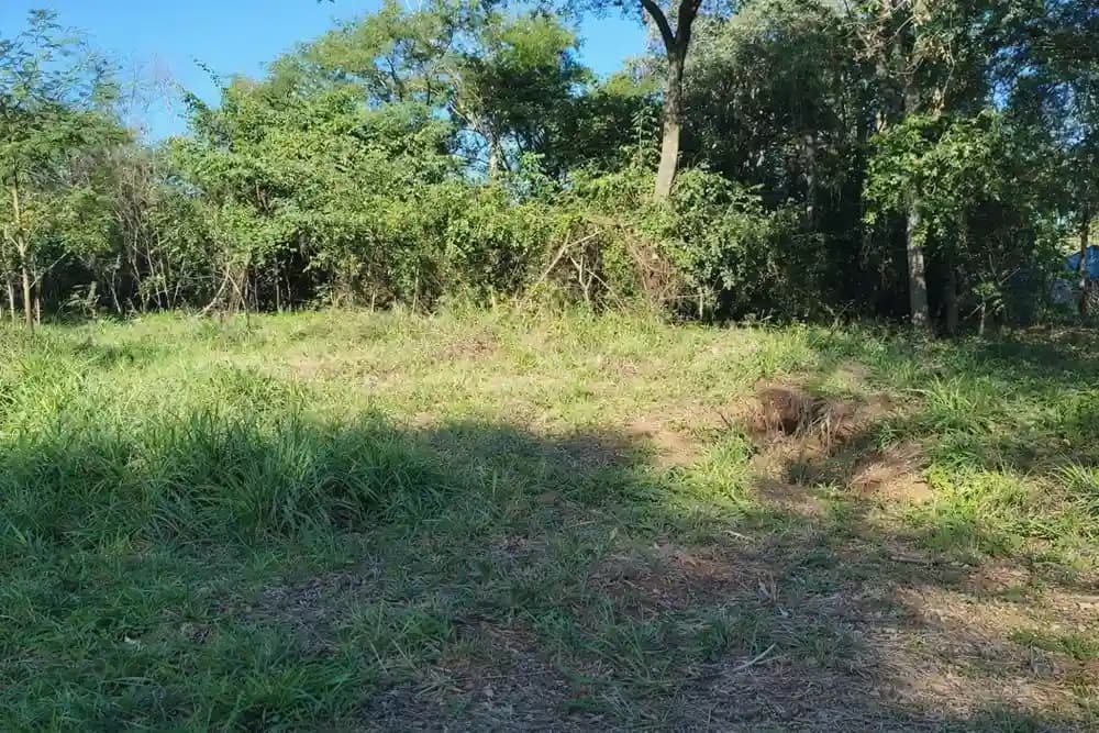 Terreno en San Lorenzo — Foto 1 de 6