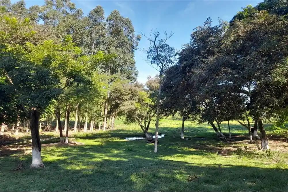 Terreno en Yataity del Norte — Foto 1 de 12