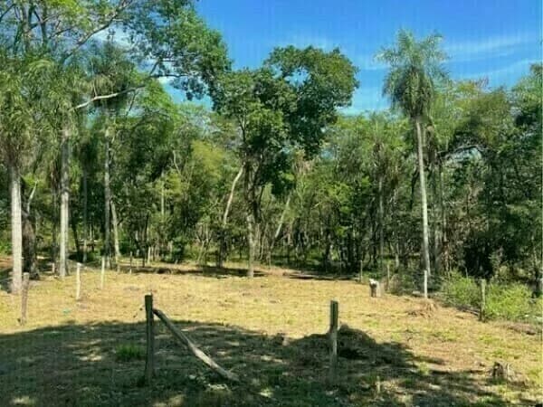 Imagen importada de SkyOne