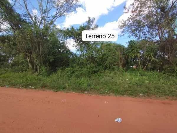 Imagen importada de SkyOne