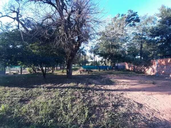 Imagen importada de SkyOne