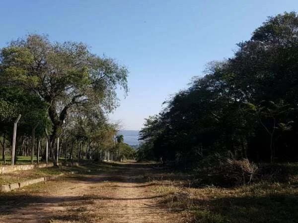Imagen importada de SkyOne