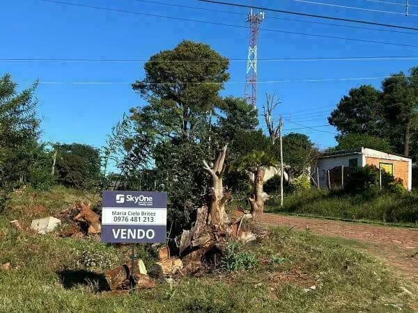 Imagen importada de SkyOne